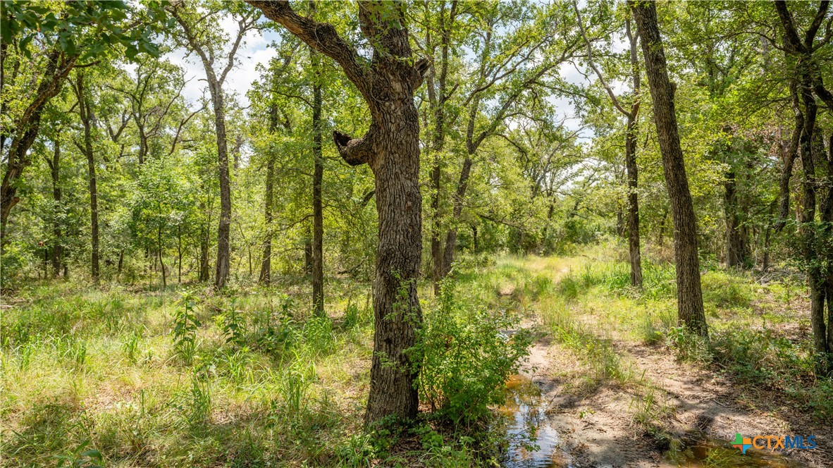 418-b County Road 405 Property Photo 10