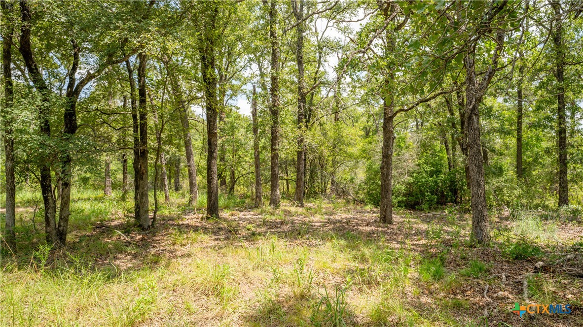 418-b County Road 405 Property Photo 11