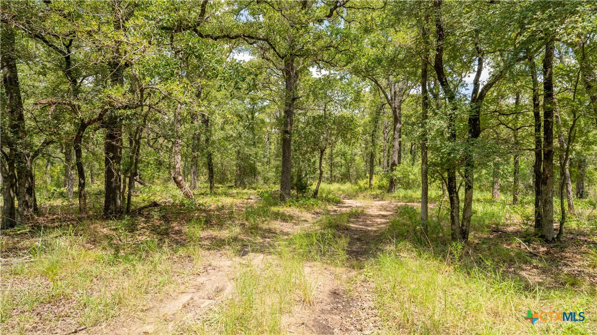 418-b County Road 405 Property Photo 15