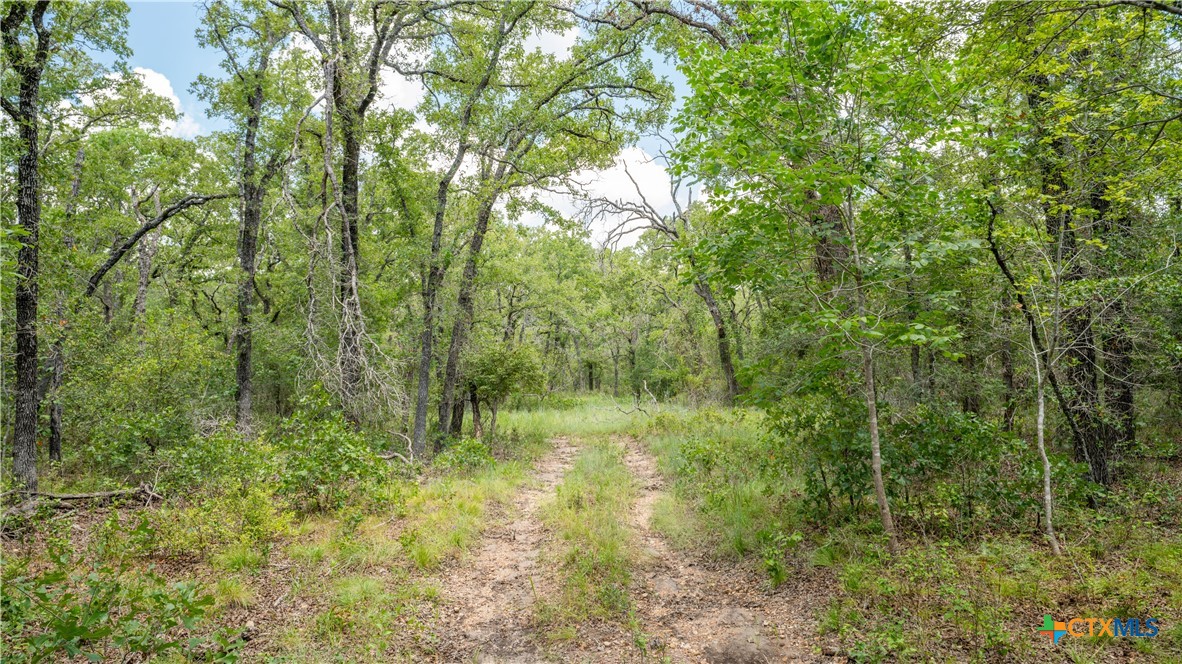 418-b County Road 405 Property Photo 17