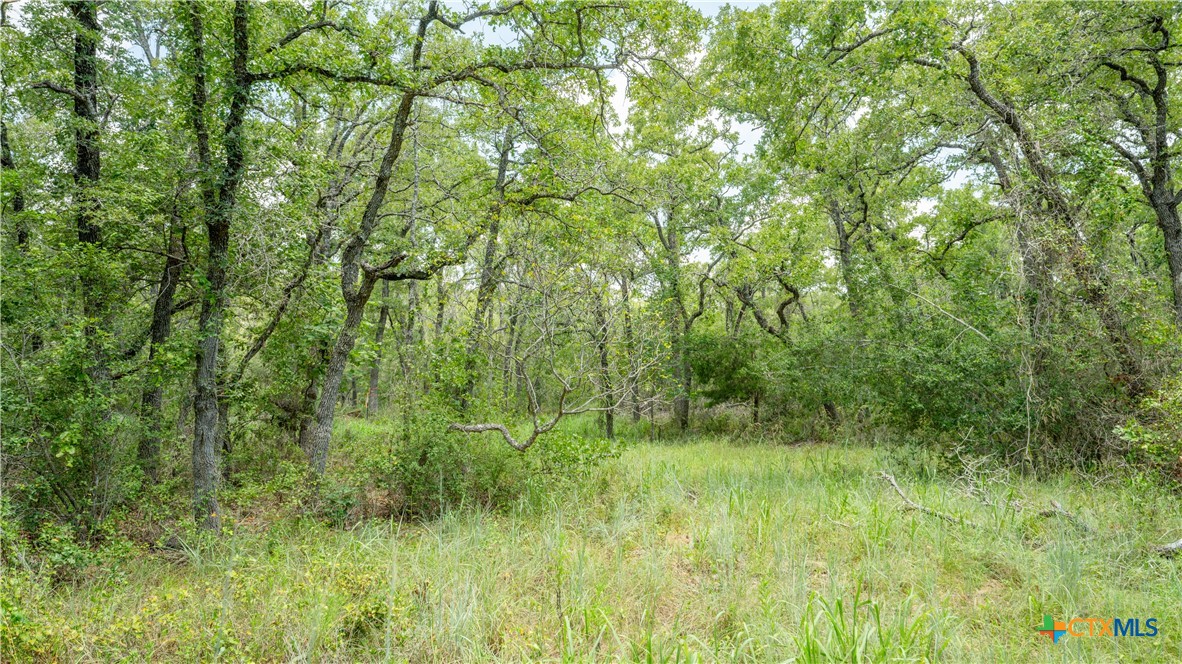 418-b County Road 405 Property Photo 19