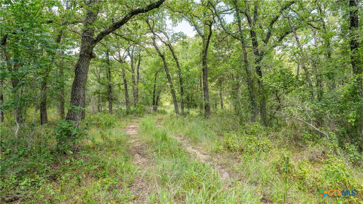 418-b County Road 405 Property Photo 20