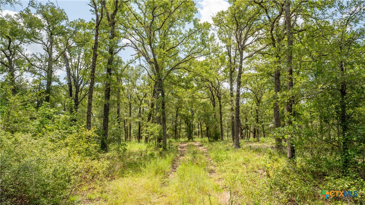 418-b County Road 405 Property Photo 21
