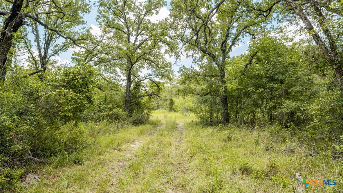 418-b County Road 405 Property Photo 22