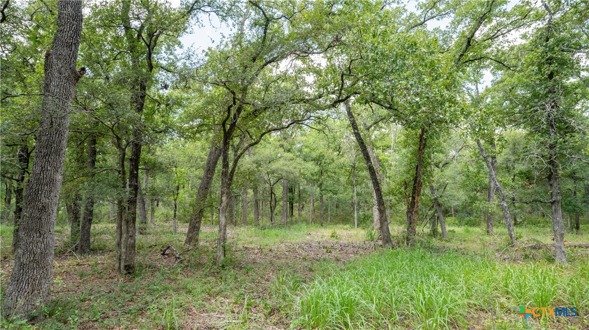 418-c County Road 405 Property Photo 4