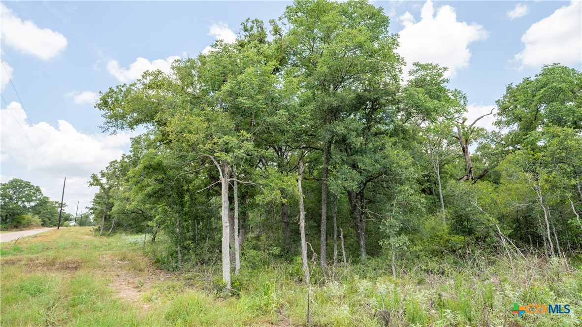 418-c County Road 405 Property Photo 8