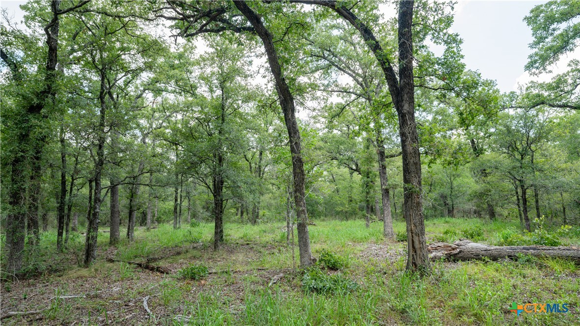 418-c County Road 405 Property Photo 9