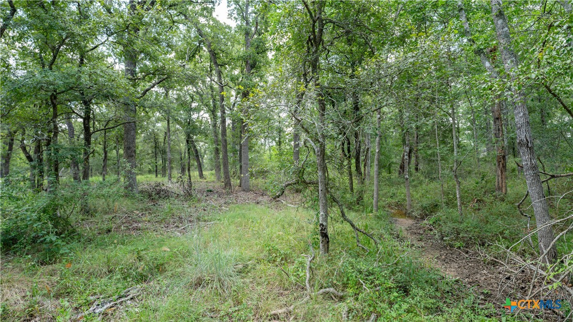 418-c County Road 405 Property Photo 12