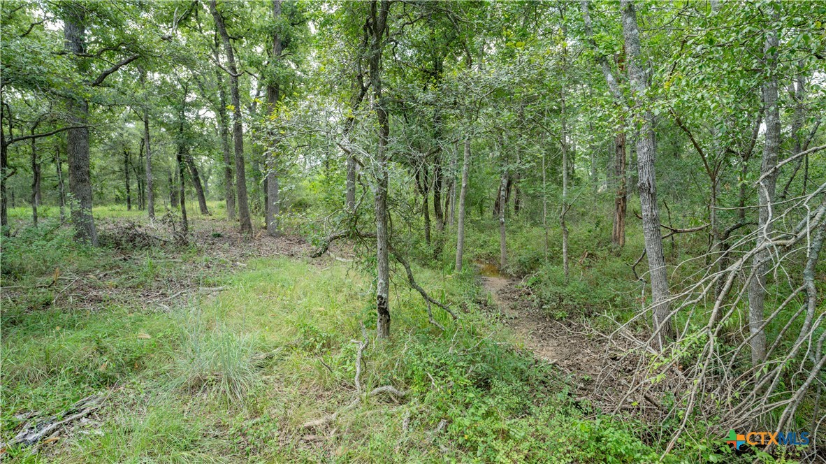 418-c County Road 405 Property Photo 14