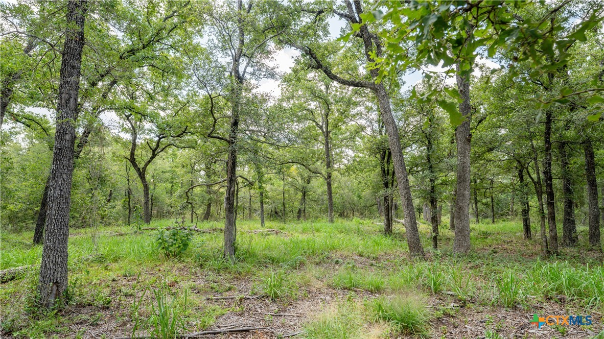 418-c County Road 405 Property Photo 16