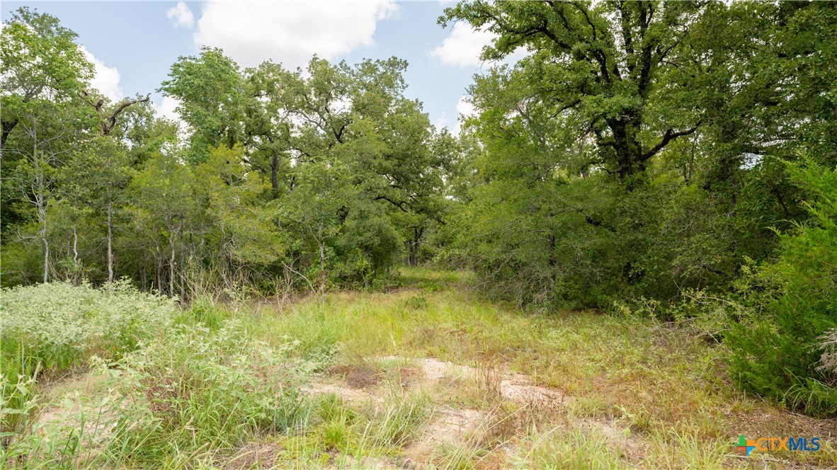 418-c County Road 405 Property Photo 17
