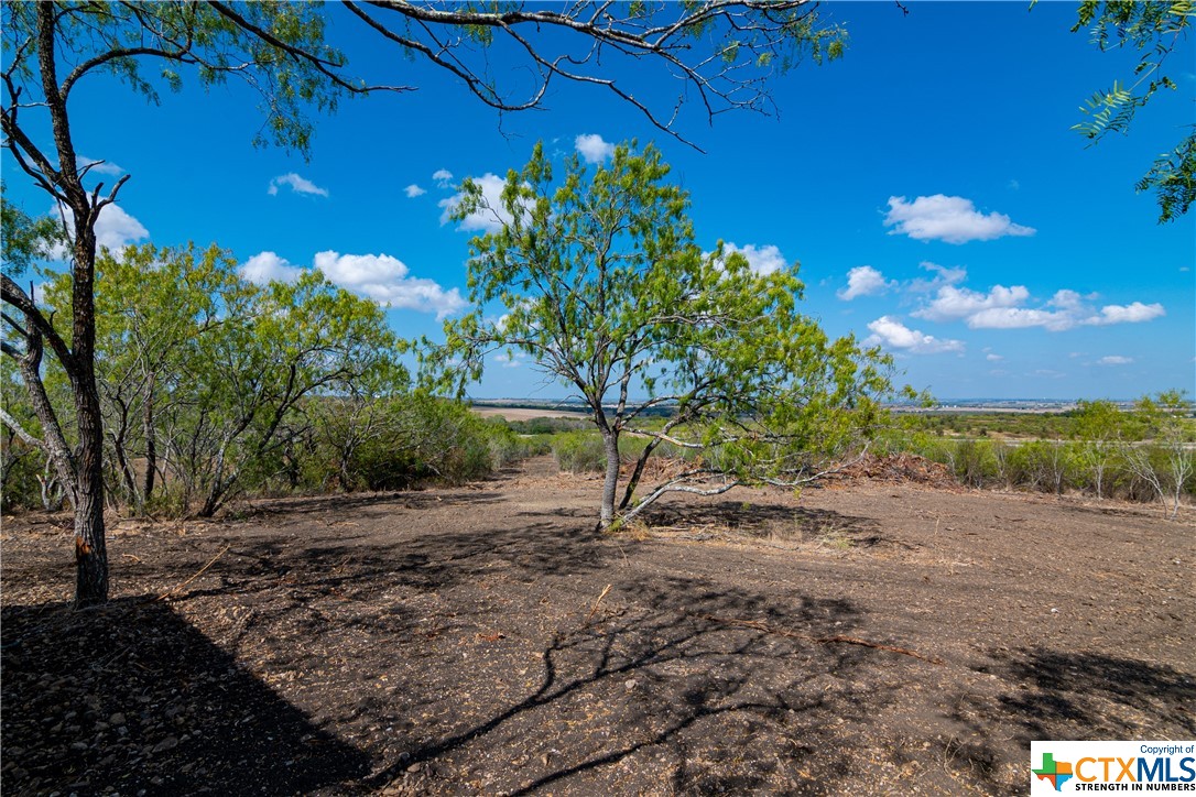 13004 Fm 3353 Property Photo 4