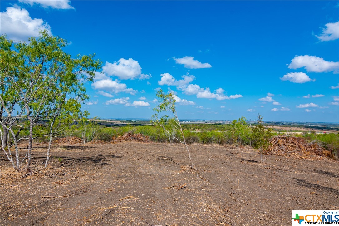 13004 Fm 3353 Property Photo 6