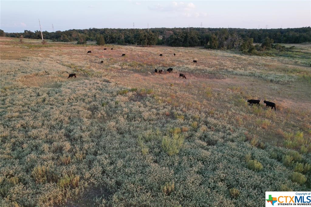 Tbd County Road 449 Property Photo 3