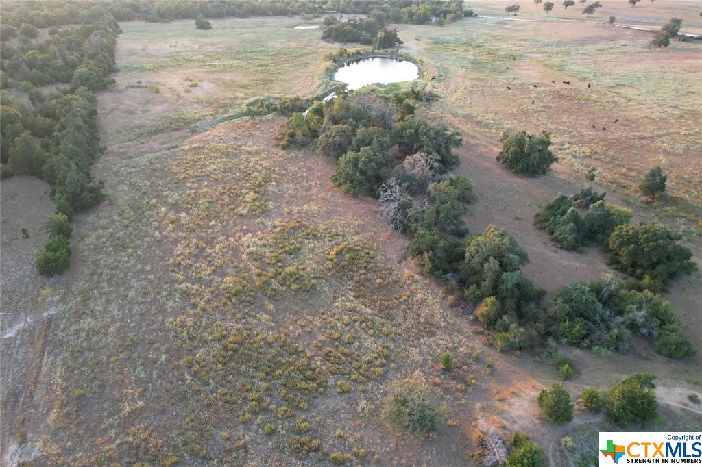 Tbd County Road 449 Property Photo 6
