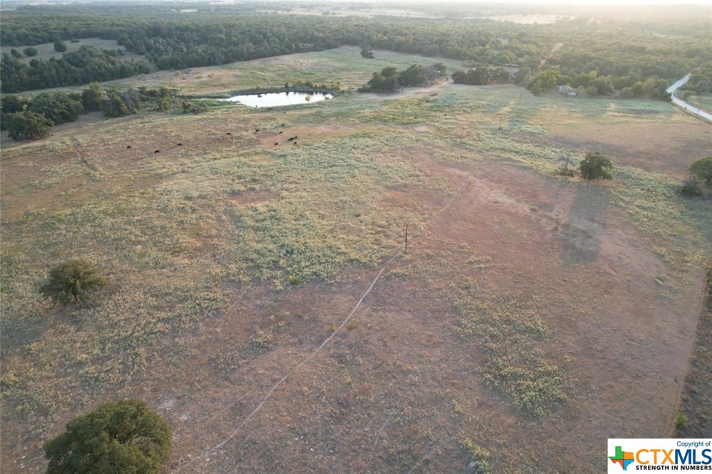 Tbd County Road 449 Property Photo 9