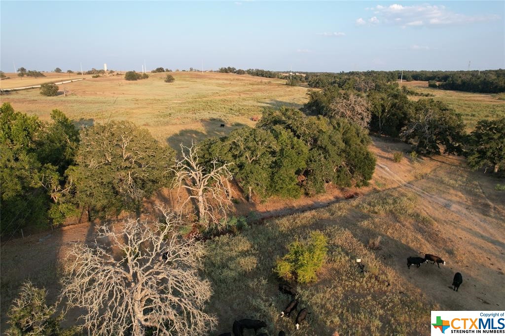 Tbd County Road 449 Property Photo 15