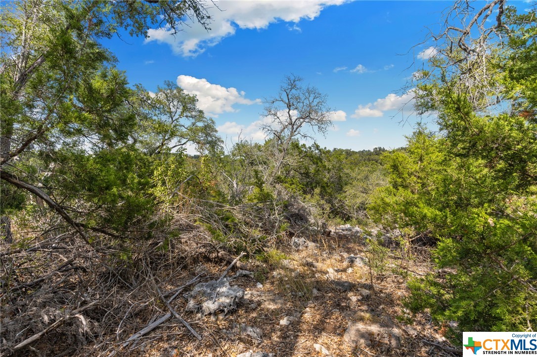 1472 Stahlman Way Property Photo 4