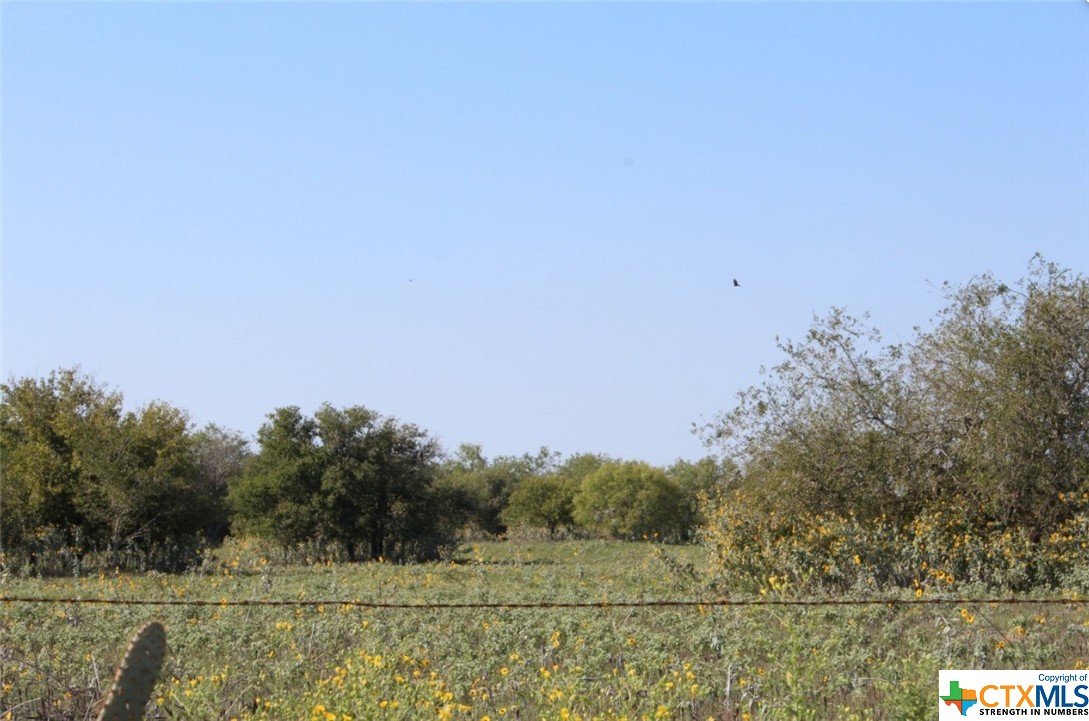 Lot 9 Wisteria Lane Property Photo 9