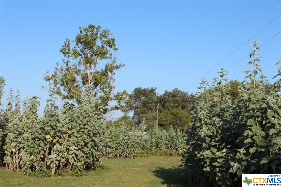 Lot 9 Wisteria Lane Property Photo 14