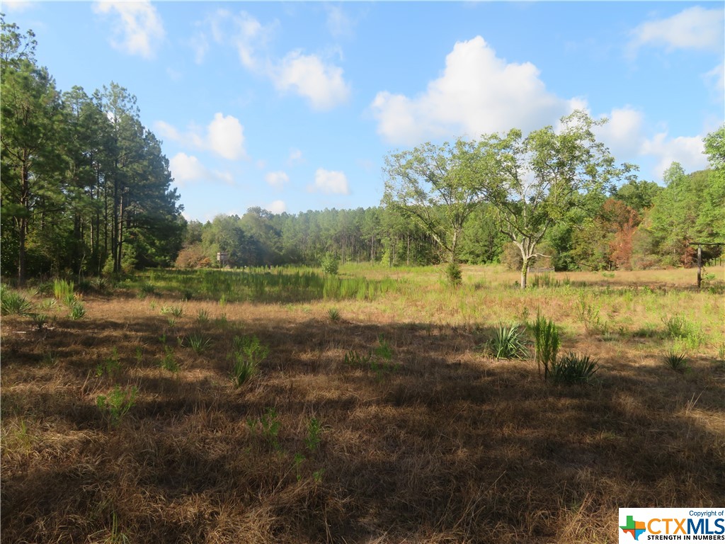 999 Co Rd 1101 Property Photo 2