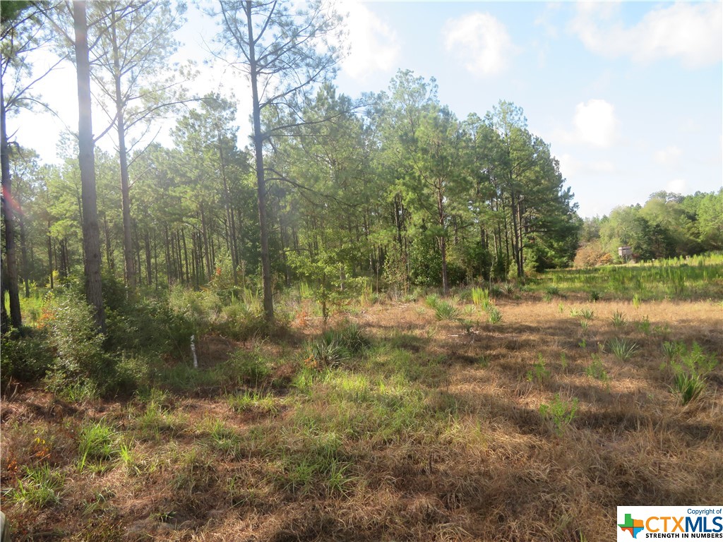 999 Co Rd 1101 Property Photo 3