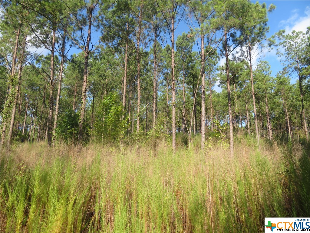 999 Co Rd 1101 Property Photo 4
