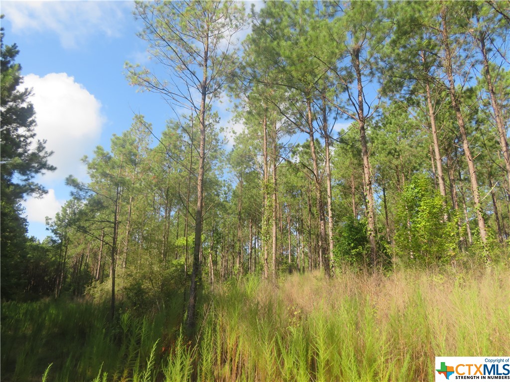 999 Co Rd 1101 Property Photo 5