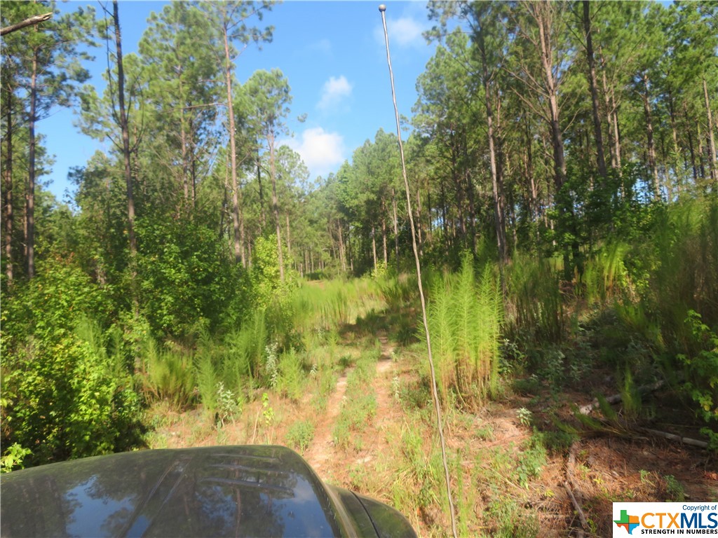 999 Co Rd 1101 Property Photo 6