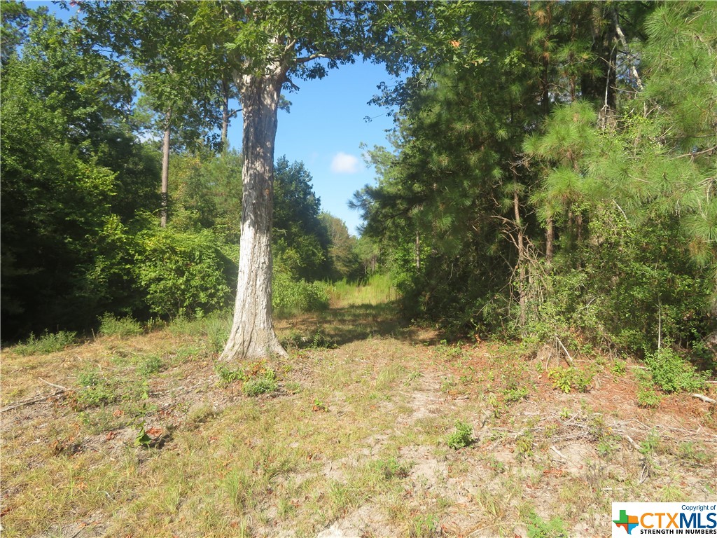 999 Co Rd 1101 Property Photo 7