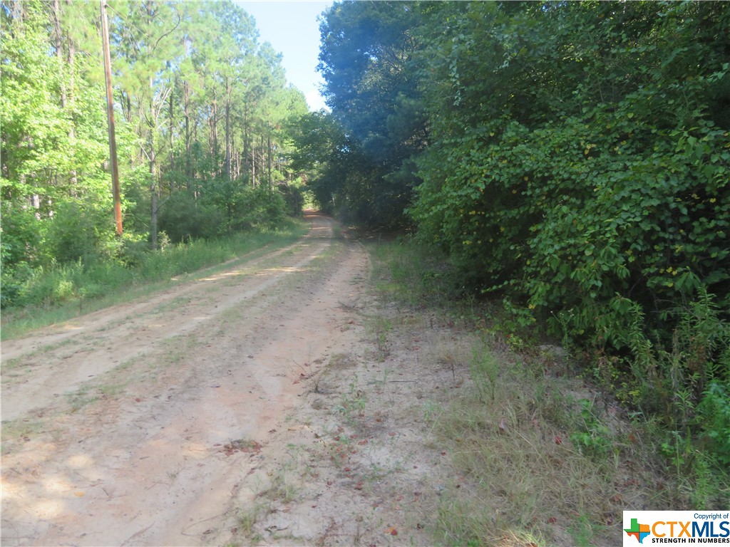 999 Co Rd 1101 Property Photo 8