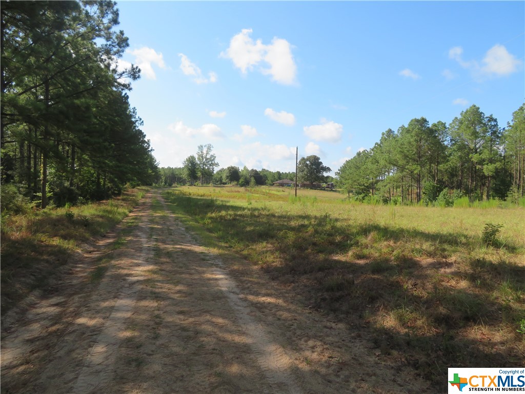 999 Co Rd 1101 Property Photo 9