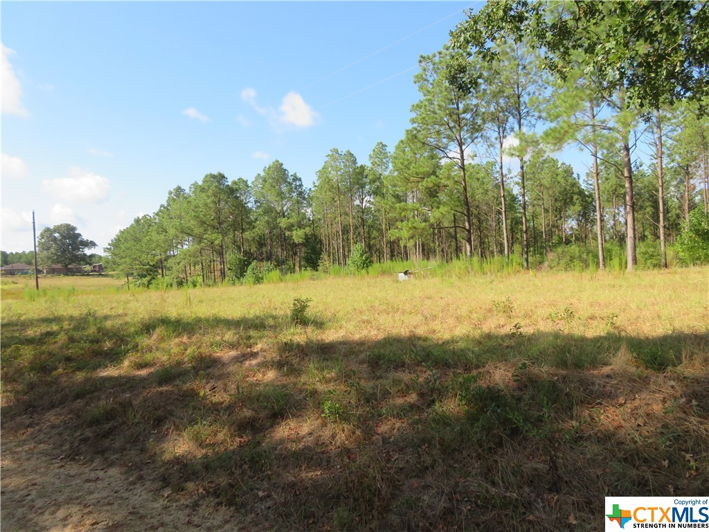 999 Co Rd 1101 Property Photo 10