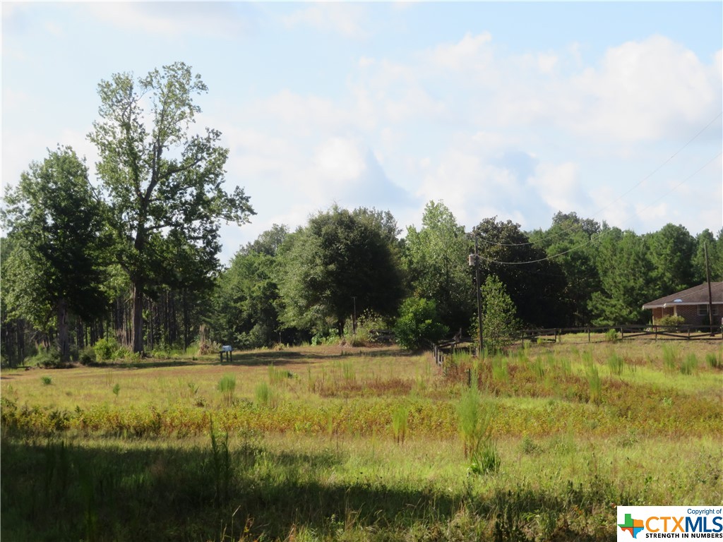 999 Co Rd 1101 Property Photo 12
