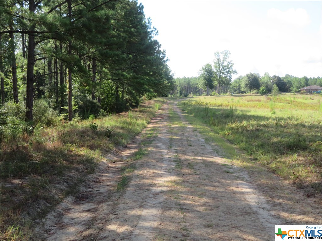999 Co Rd 1101 Property Photo 13