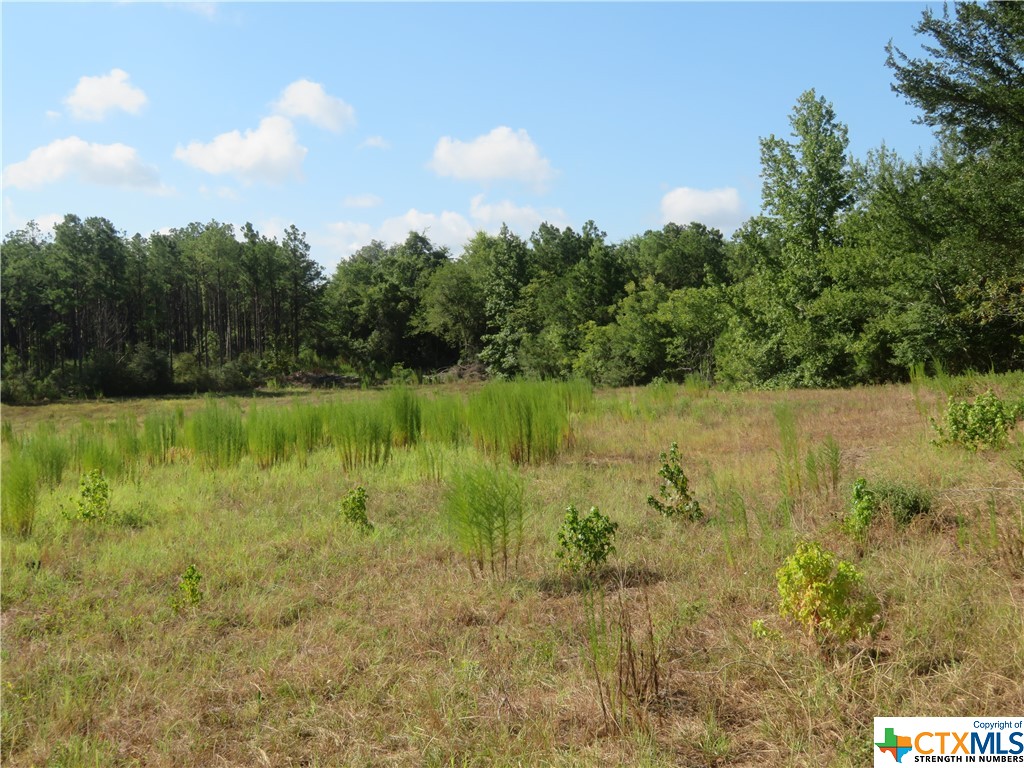 999 Co Rd 1101 Property Photo 14