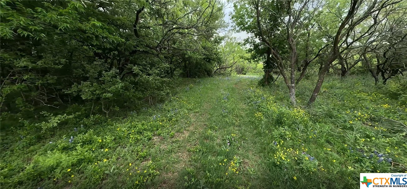 3955 Blue Cut Road Property Photo 2