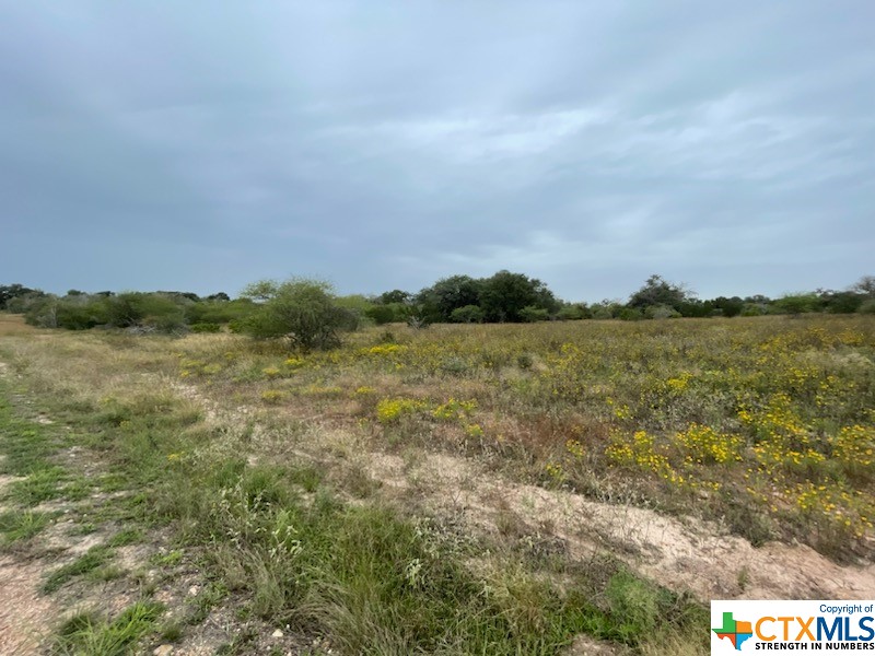 000 Fm 236 Property Photo 2
