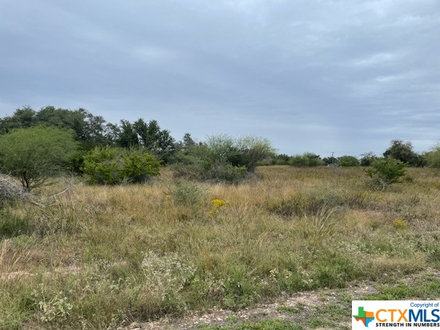 000 Fm 236 Property Photo 3