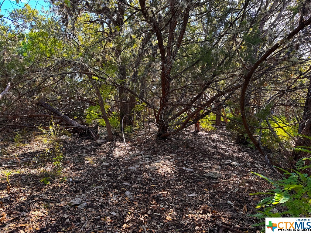 1452 Canyon Edge Property Photo 6