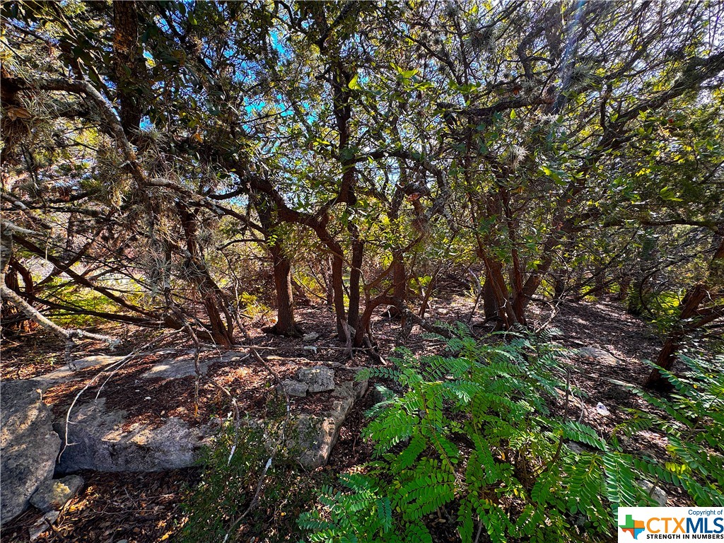 1452 Canyon Edge Property Photo 8