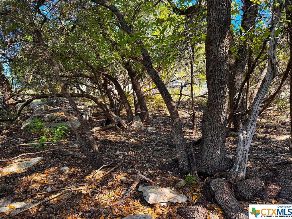 1452 Canyon Edge Property Photo 11