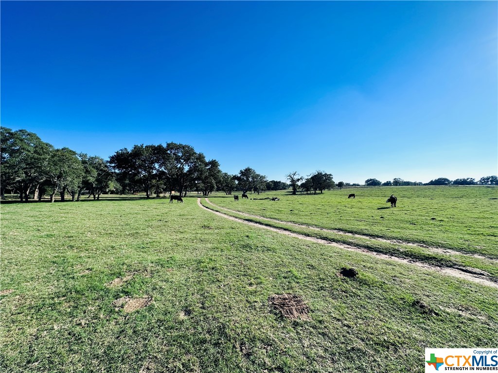 2700 County Road 400 Property Photo 43