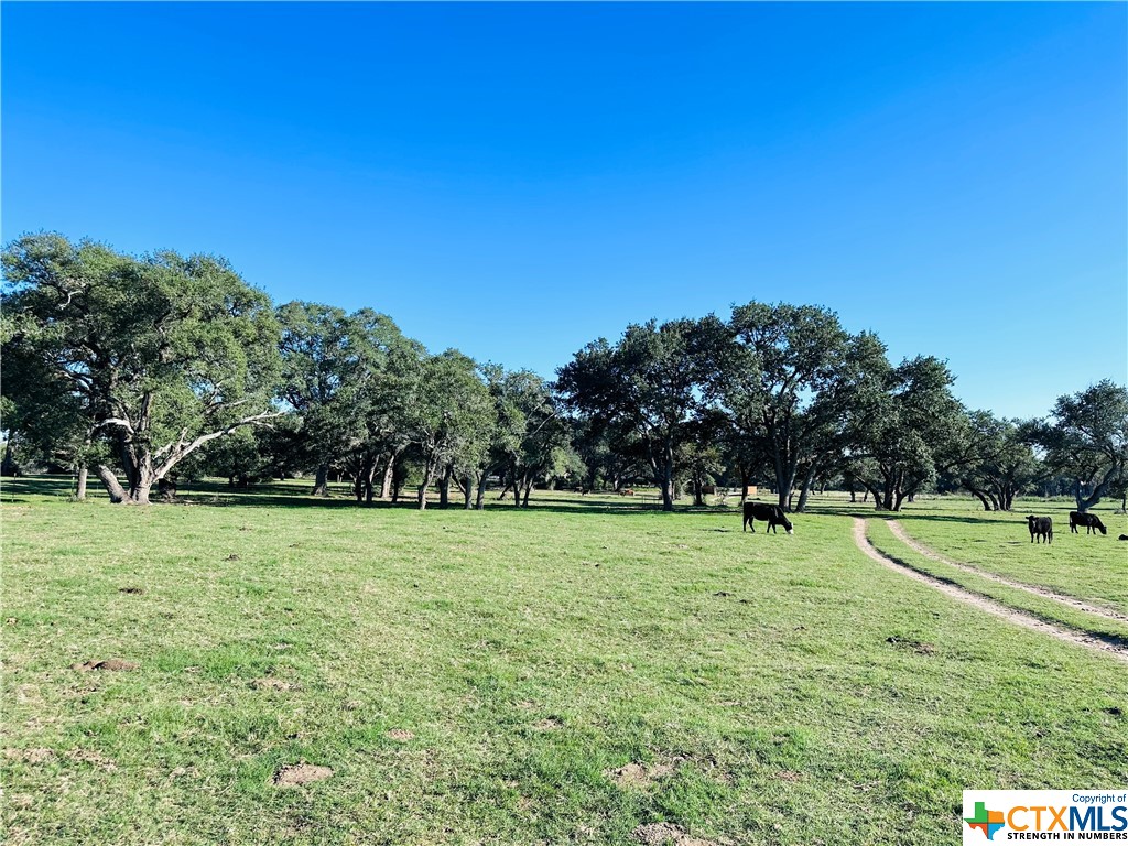 2700 County Road 400 Property Photo 44