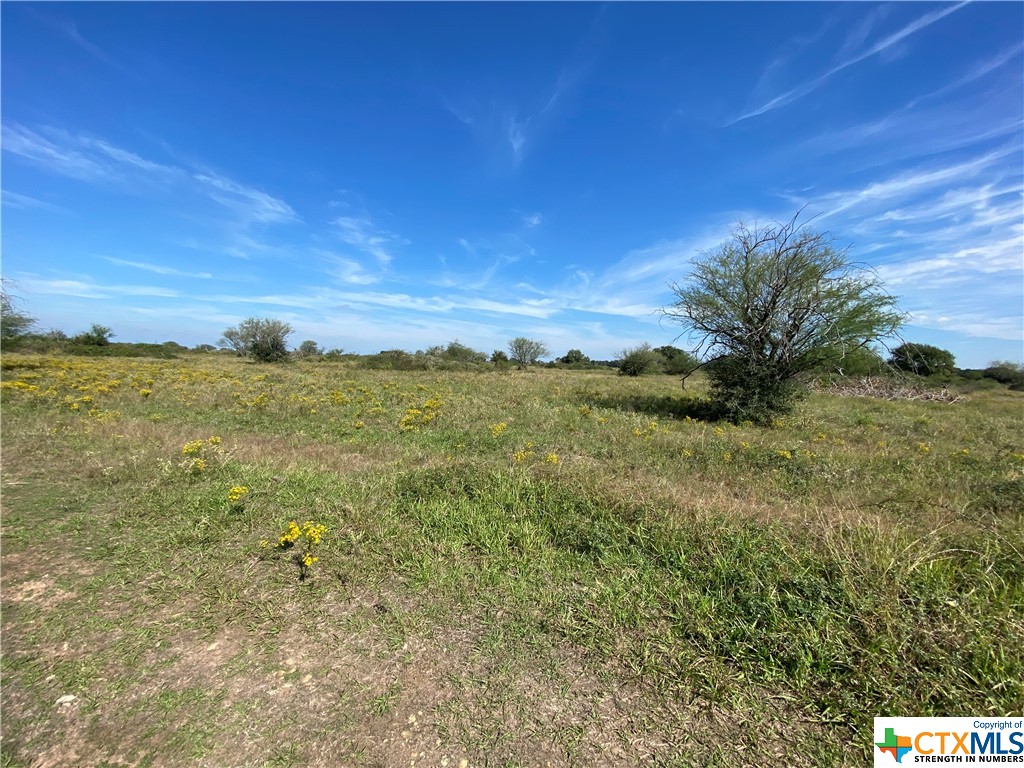 Tbd Parsons Property Photo 3