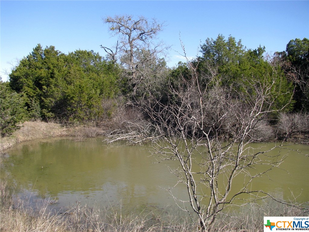 Lot 3 Ph 6 County Road 421 Property Photo 1
