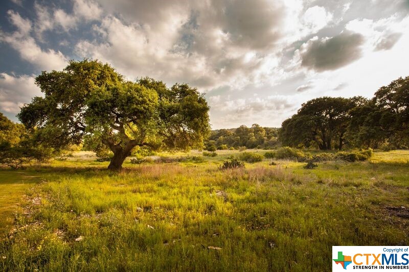593 Tobacco Pass Property Photo 28