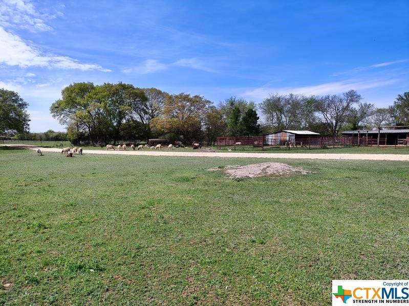 1035 County Road 274 Property Photo 3