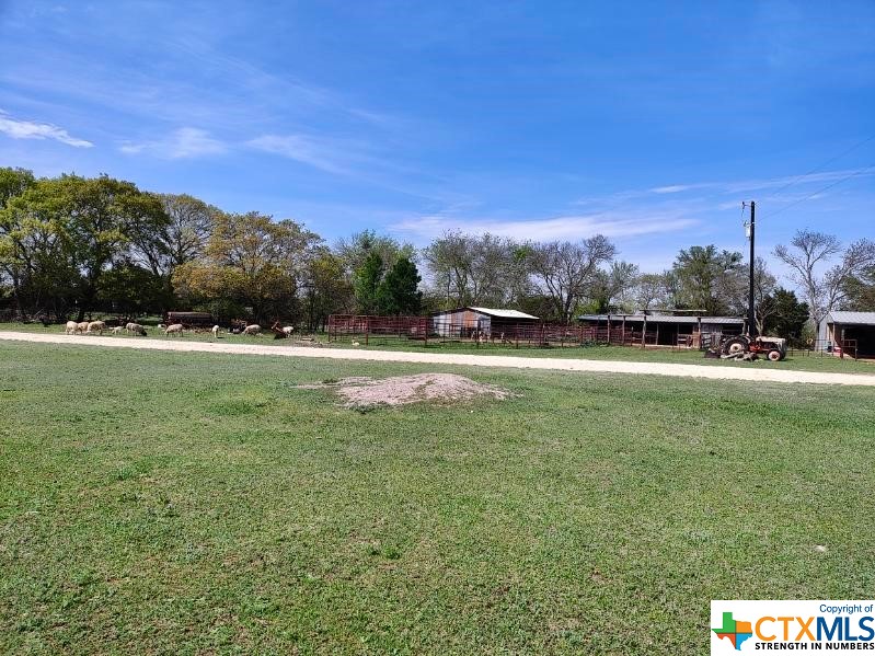 1035 County Road 274 Property Photo 7