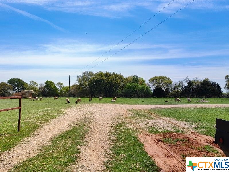1035 County Road 274 Property Photo 12